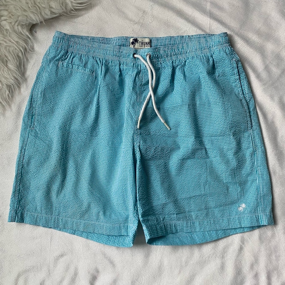 Trunks Surf & Swim Co swim Trunks Check Sz 34